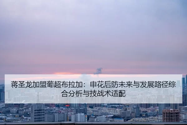 蒋圣龙加盟葡超布拉加：申花后防未来与发展路径综合分析与技战术适配