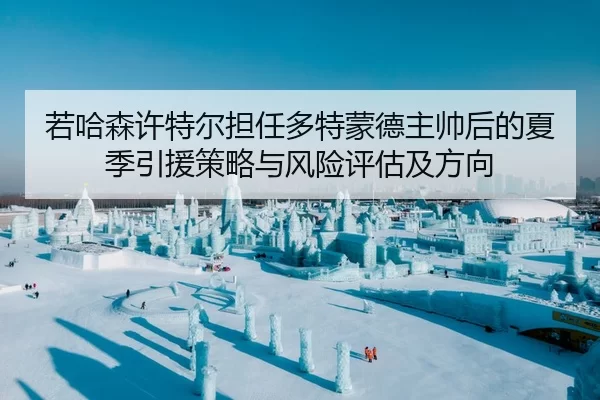 若哈森许特尔担任多特蒙德主帅后的夏季引援策略与风险评估及方向